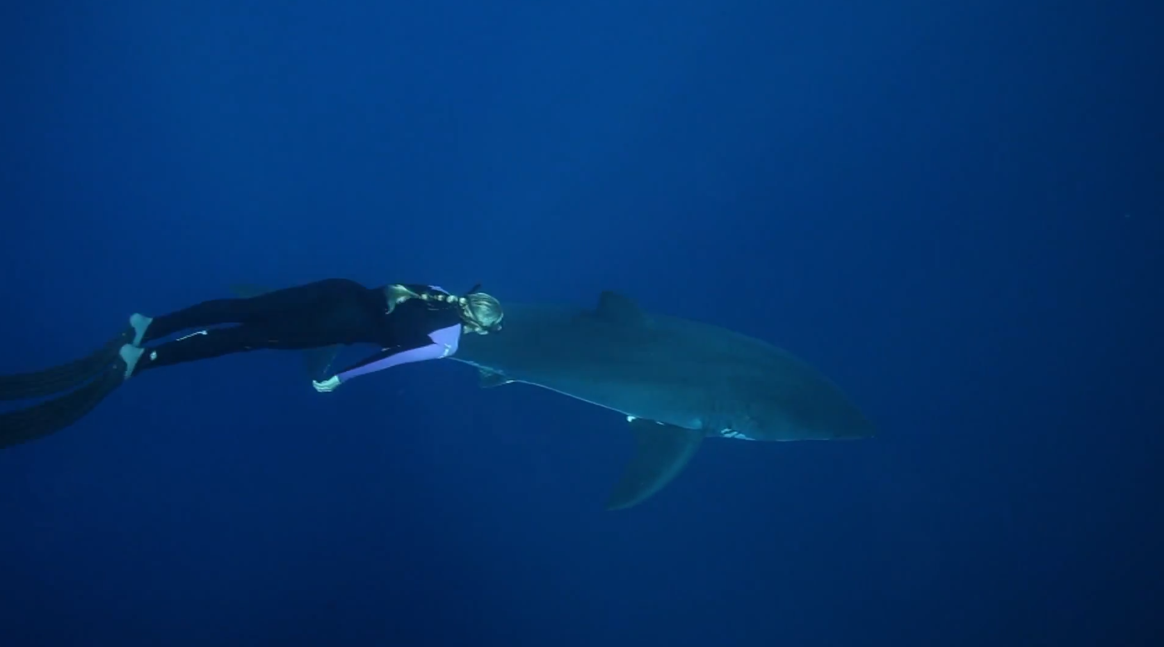 Simma, Hajar, Vithaj, VideoExtra